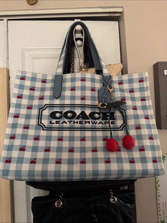 Coach Handbags - Coach Blue & White Gingham Tote with Red Cherry Accents BRAND NEW NEVER USED